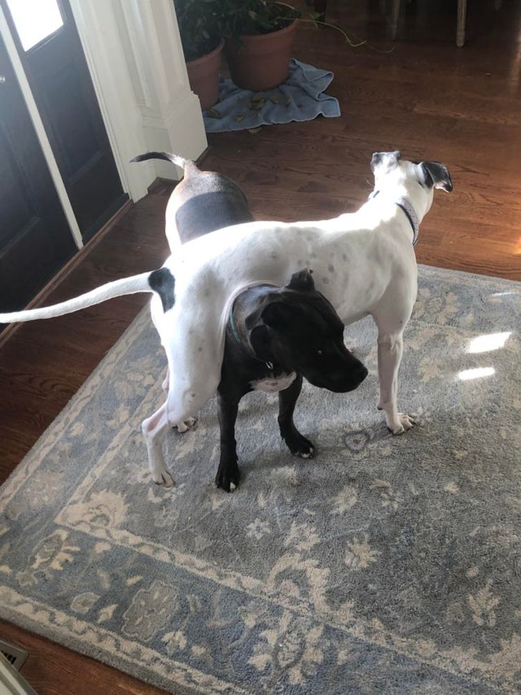 10-13-45-16334307091749906898