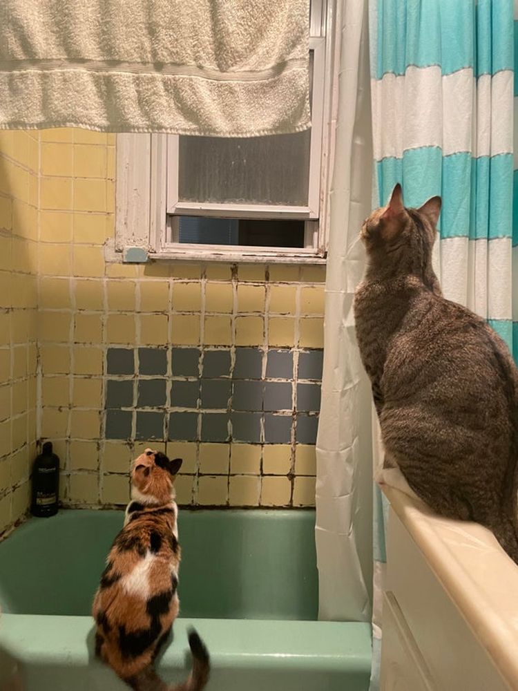 10-13-45-1633430715355833758