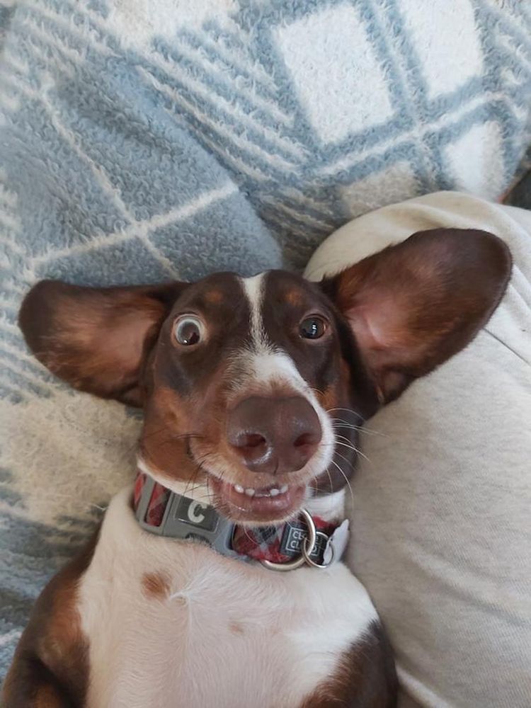 10-13-45-16334307201290491492