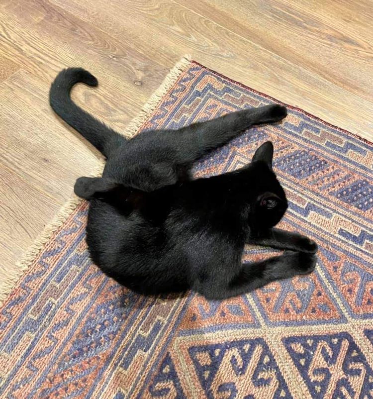 10-13-45-16334307261734177100