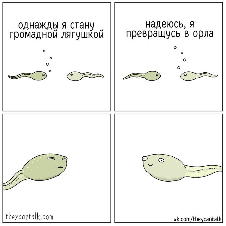 10-14-28-16339517341273015586