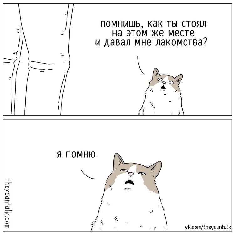 10-14-28-1633951738720620950