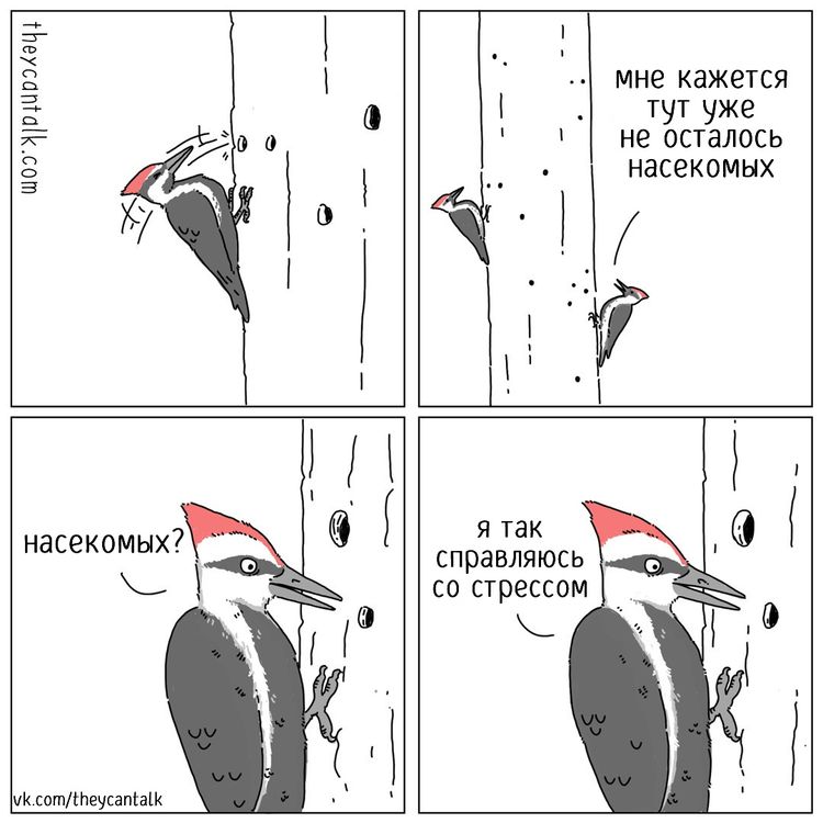 10-14-29-16339517881168369523