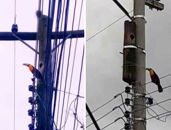 10-23-24-16348478781651412118