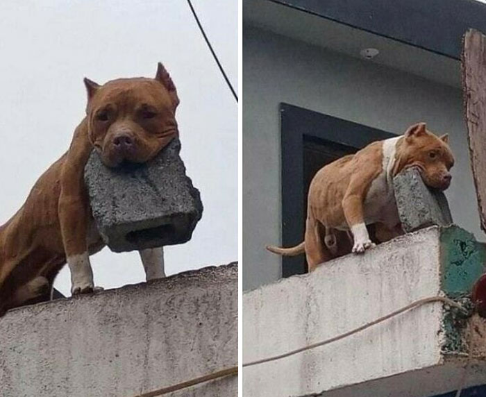 10-23-24-16348478861695939424