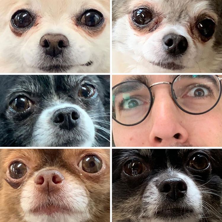 10-23-28-163493449027566127