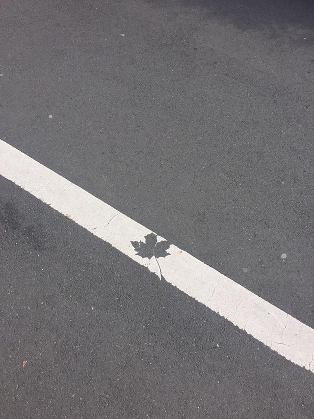 11-13-04-1636970669156528566