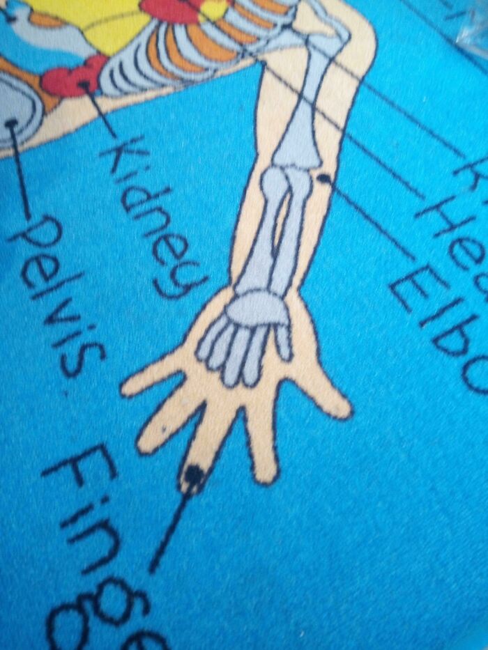 11-13-04-1636970680770992865