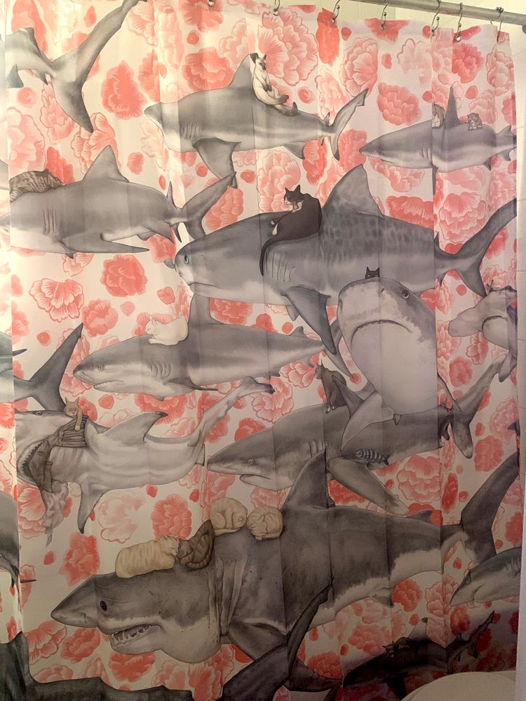 11-13-35-1637490903808658382