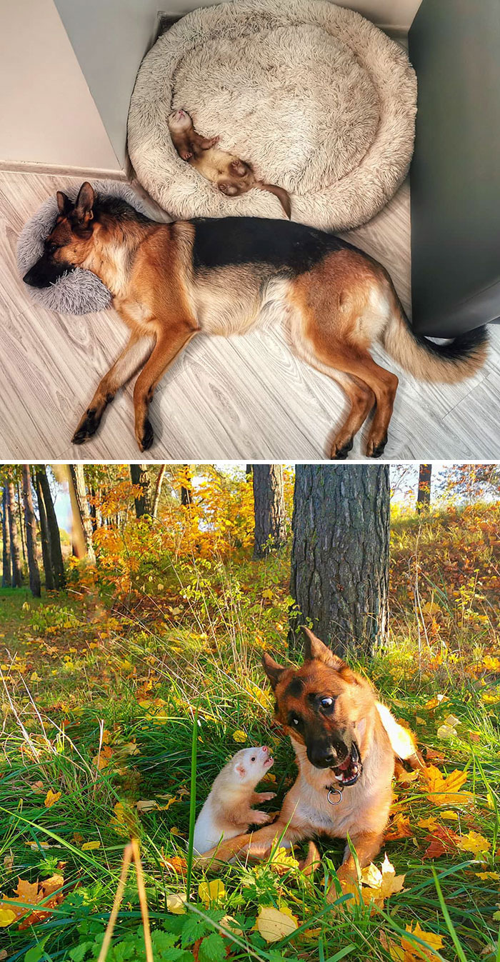 11-14-02-16375789241380476500