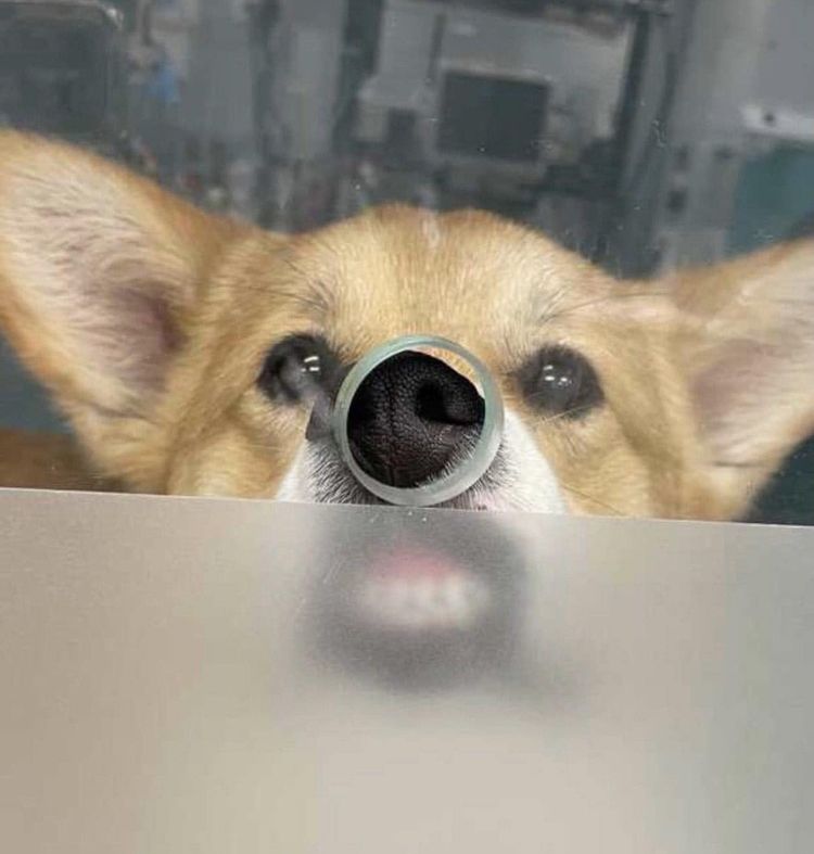 11-15-14-16376696851061364212