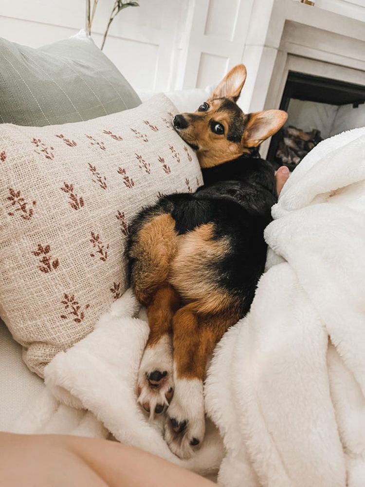 11-15-15-163766970448886371