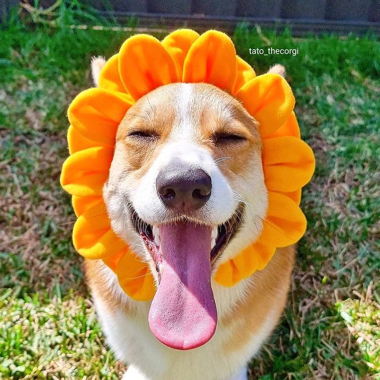 11-15-15-1637669712784839068