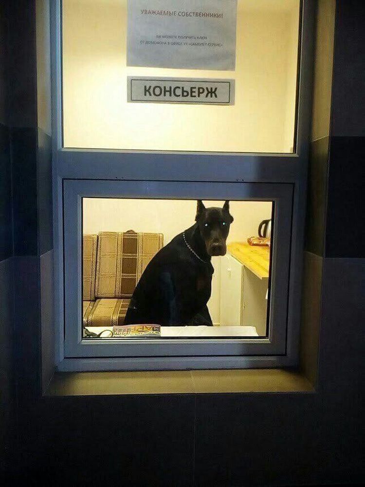 11-15-53-16368080081582807705