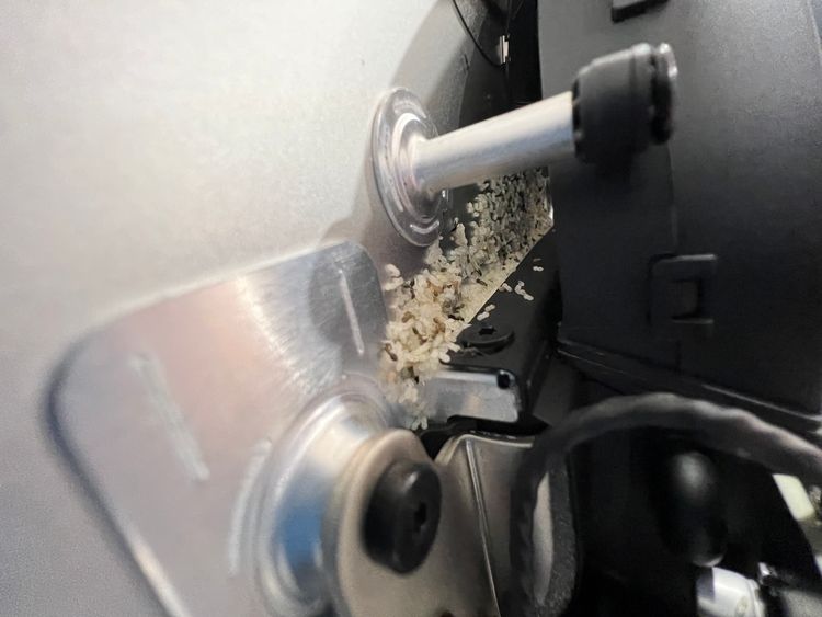 12-02-01-16406460951592974299