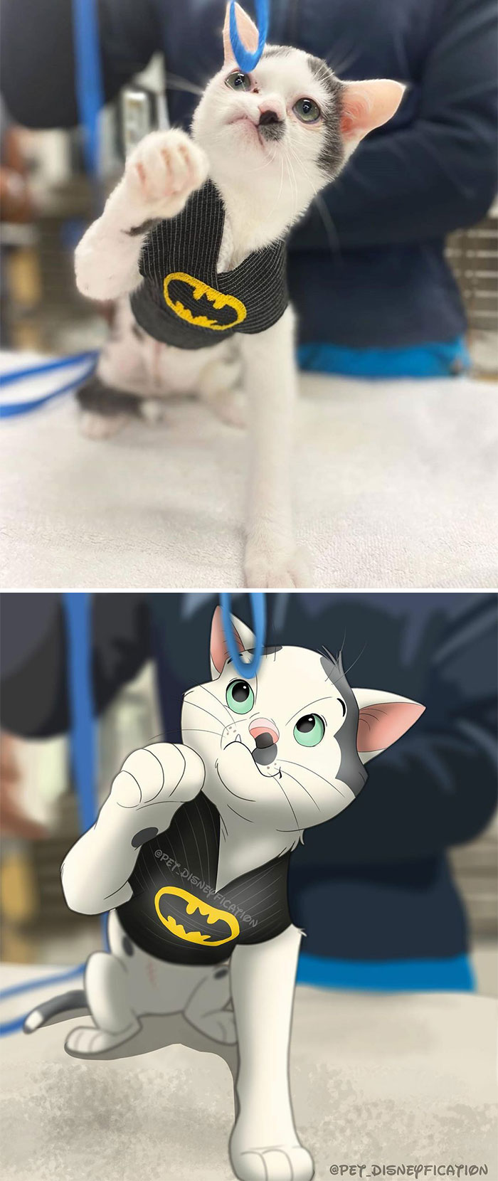 12-10-46-16391223811909619183