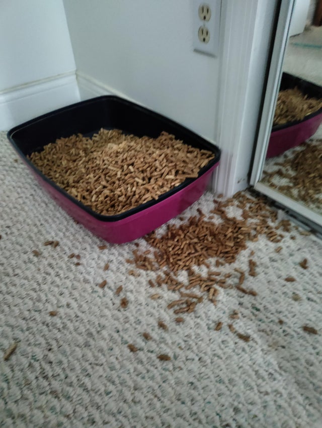 12-10-46-1640763977164863033