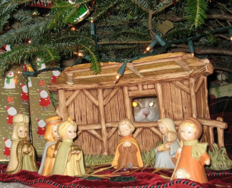 12-10-47-16407640351645823180