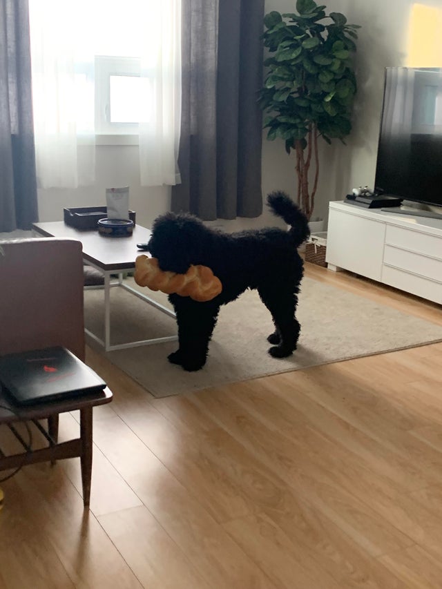 12-10-47-1640764057921592634