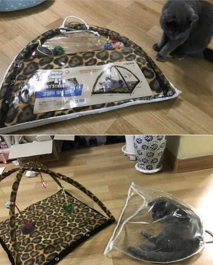 12-11-00-1640332808722622188