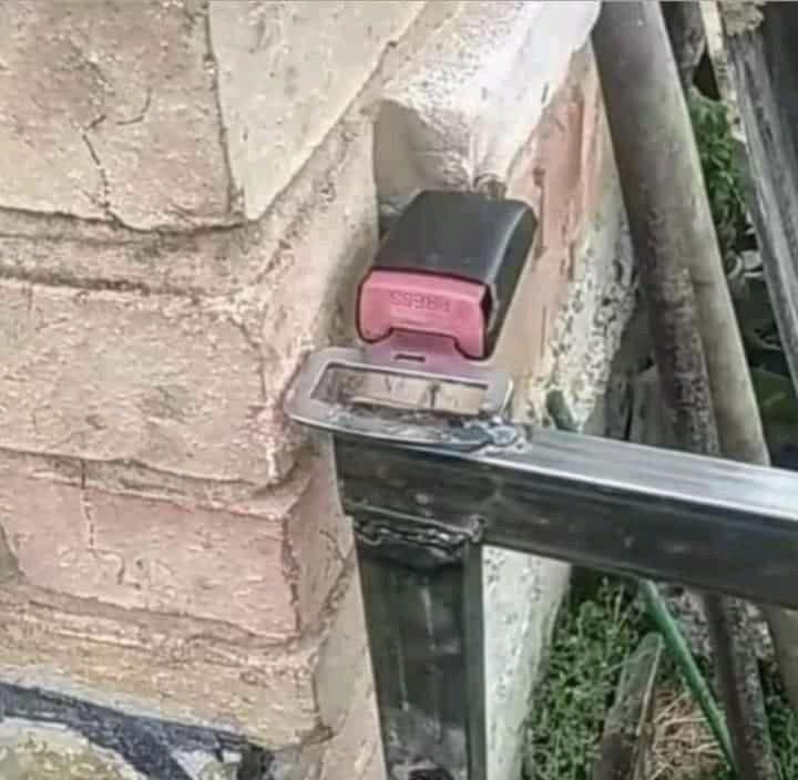 12-11-00-1640332814609488475