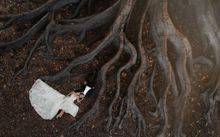 12-11-01-1638864098129027130