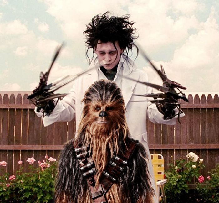 12-11-05-16390371251568158662