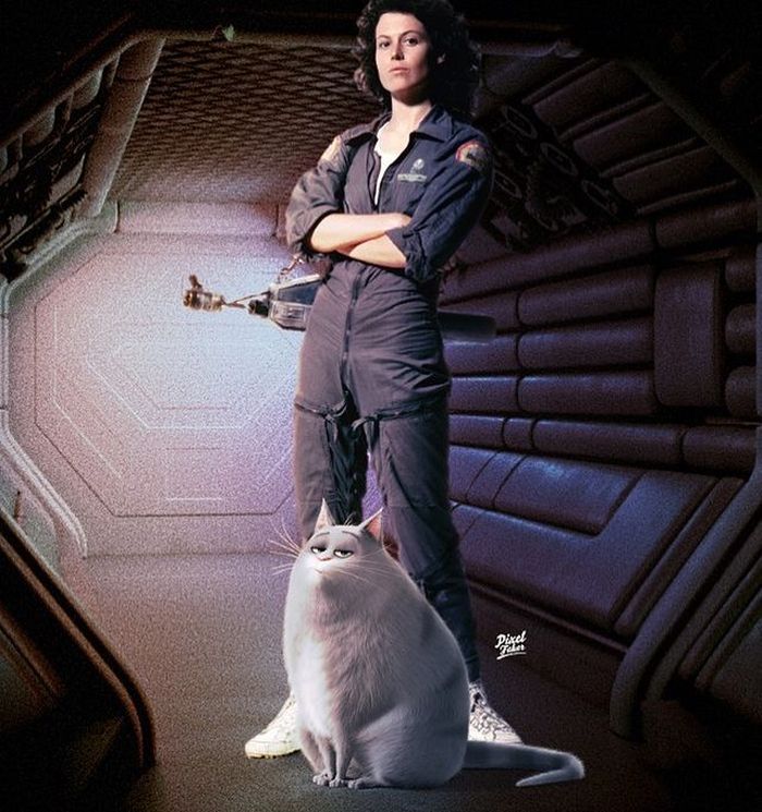 12-11-05-16390371561037542281