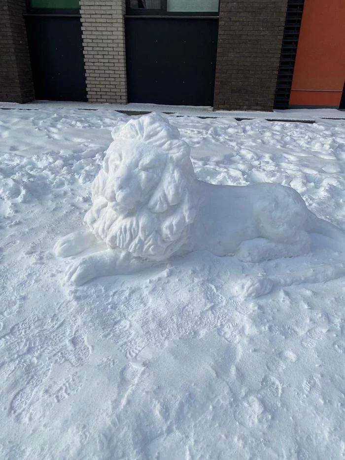 12-12-06-16406824181372699942