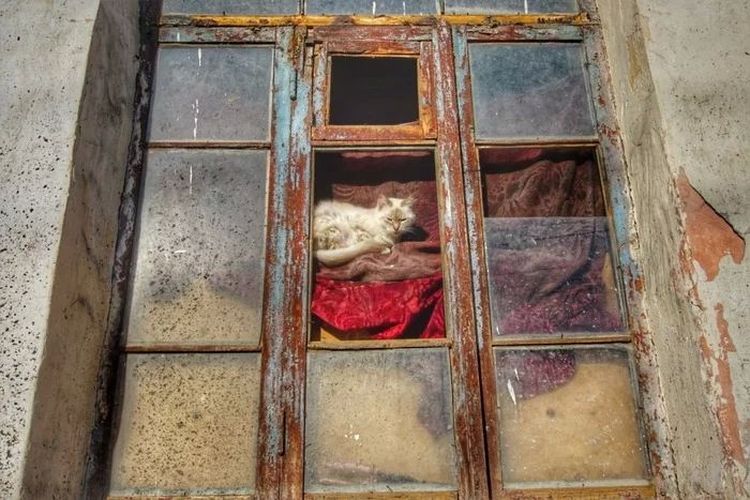 12-12-07-1640768874952822704