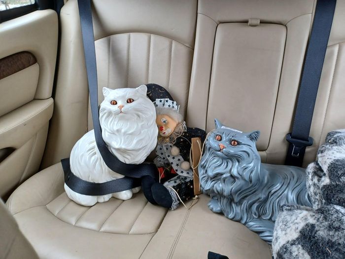 12-12-13-16389548222133864194