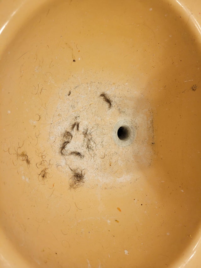 12-12-14-16401644881880785433