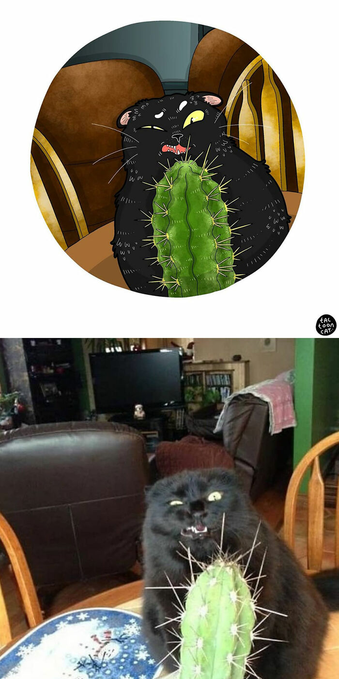 12-12-25-16386099571671185615