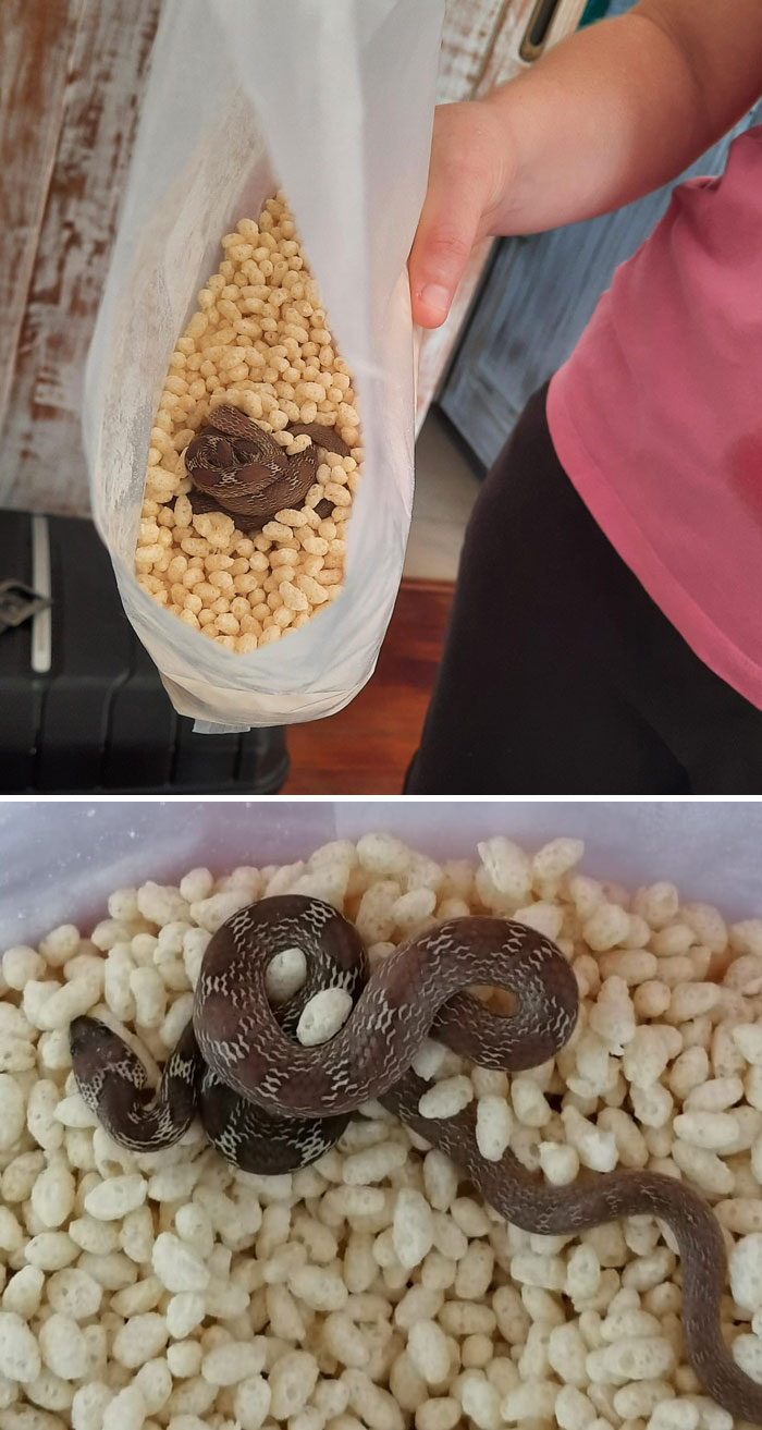 12-13-15-1639476926925368780