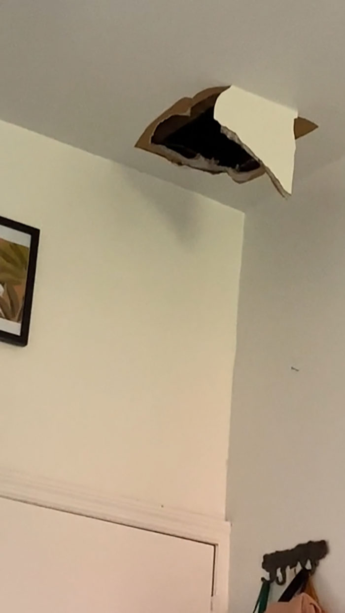 12-13-16-16394769791144746174