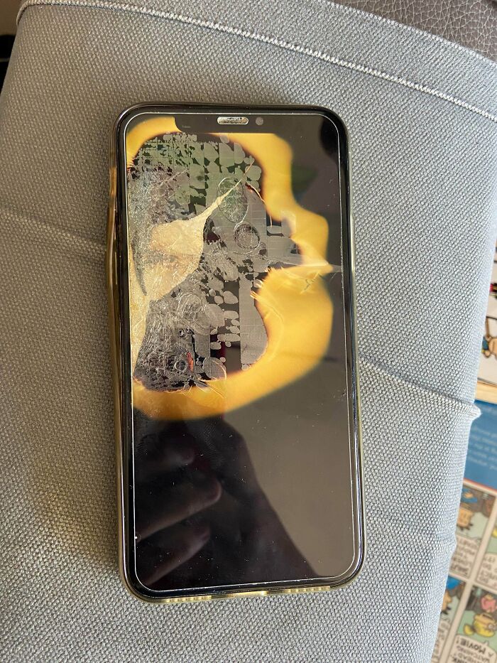 12-13-16-16394769941124516089