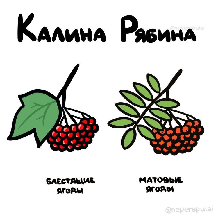 12-13-54-16387880781515408571