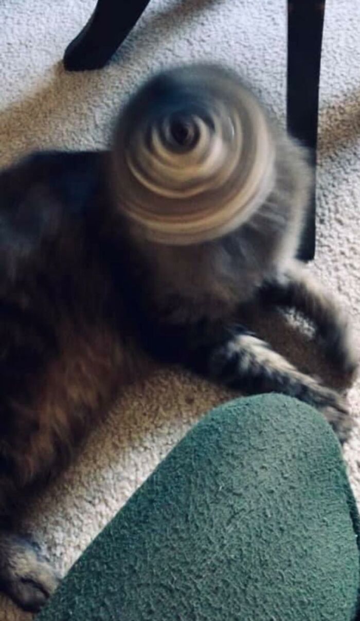 12-14-24-16401722941019379272