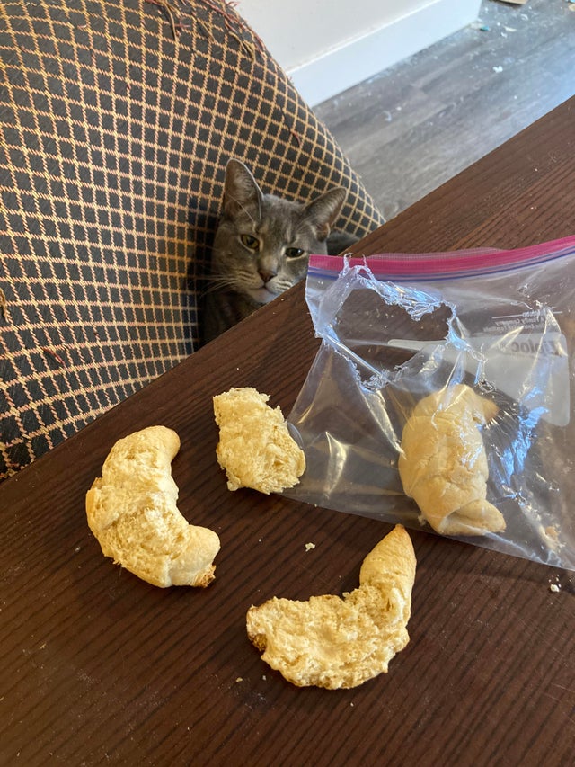 12-14-47-16393960681516897763