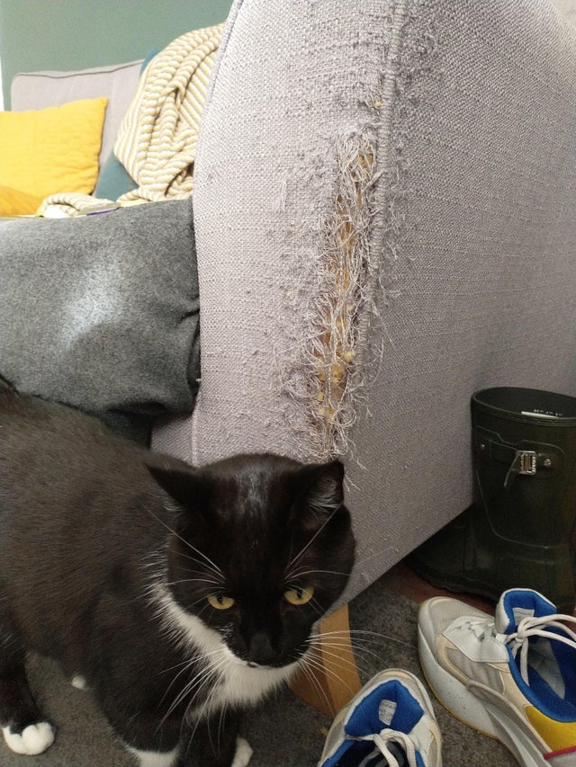 12-14-47-163939607068865836