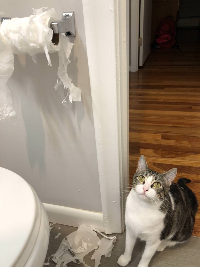 12-14-47-16393960741811682336