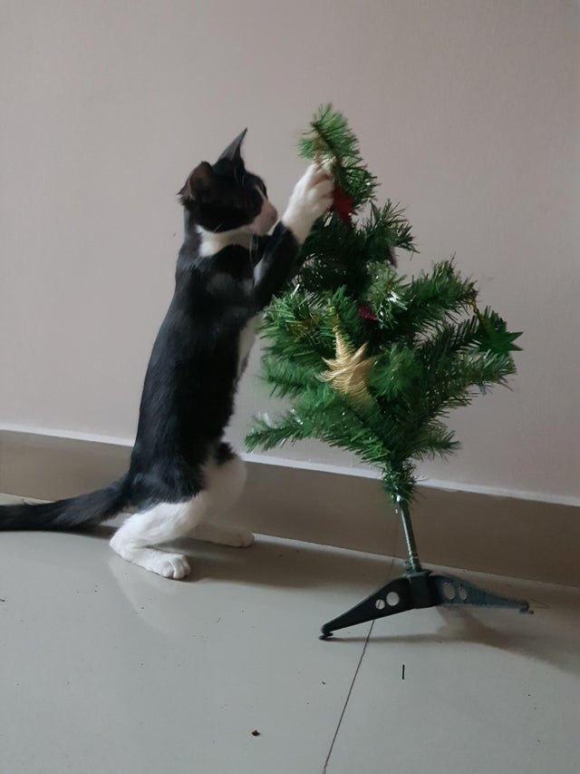 12-14-48-16393960861921269479