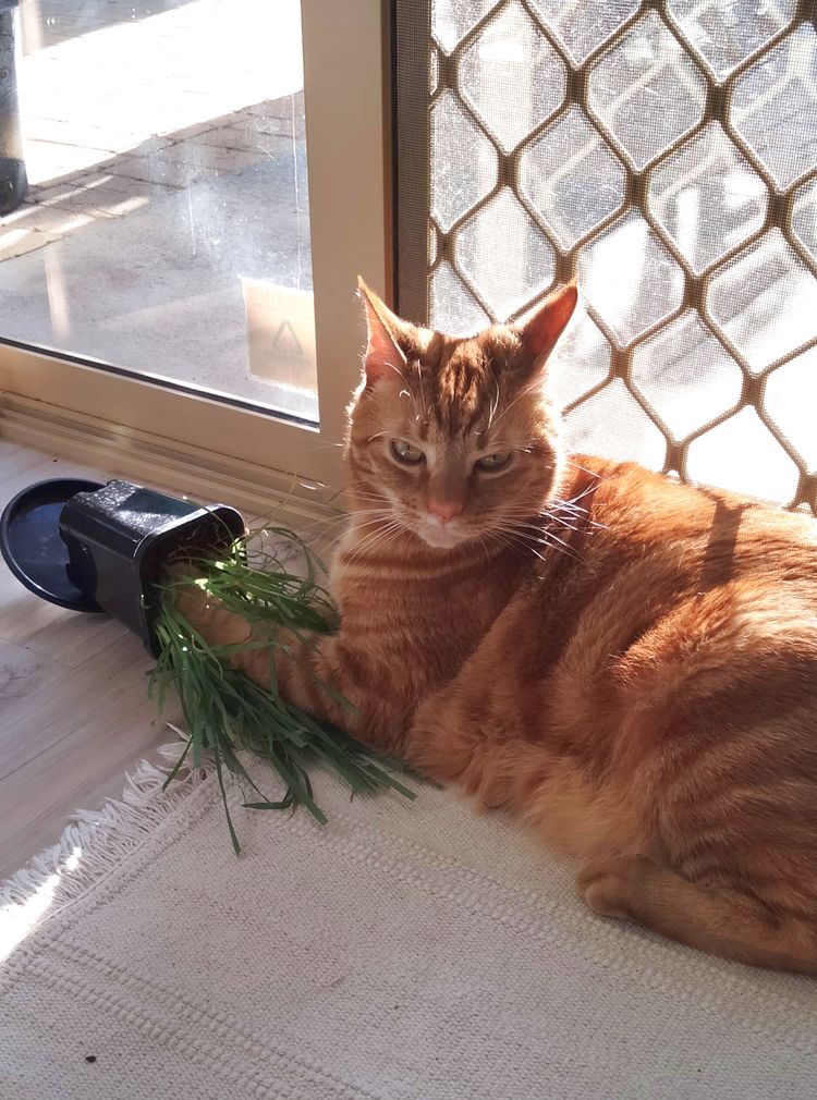 12-14-48-16393960961013564492