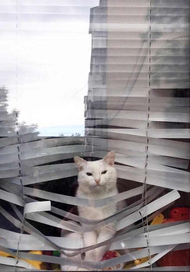 12-14-48-1639396100156724194