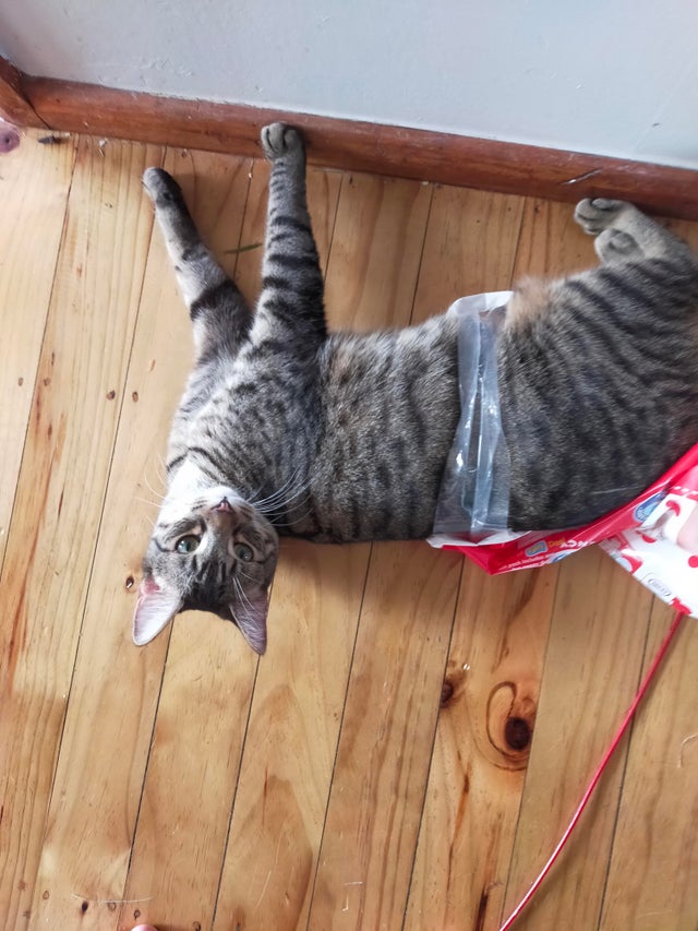 12-14-48-16393961122122055962