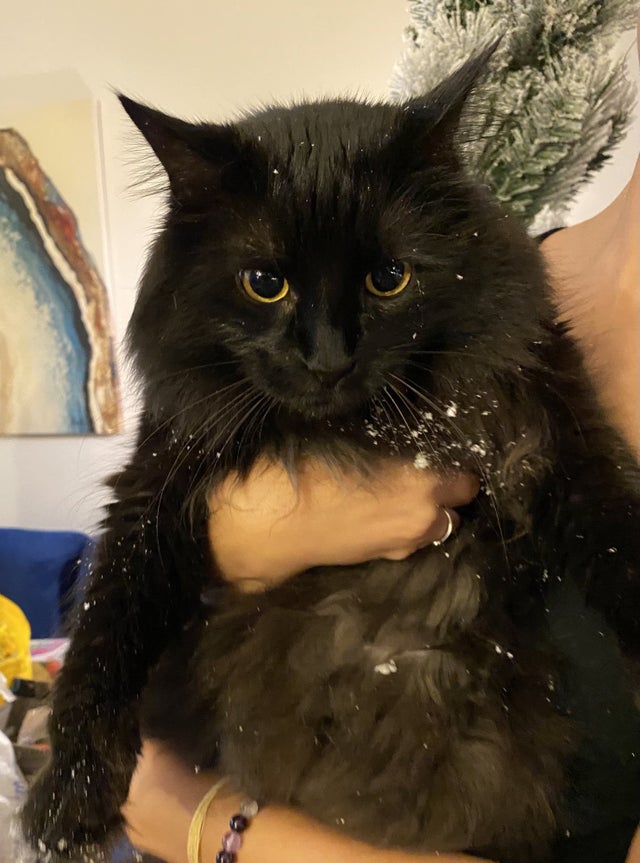 12-14-48-16393961161101015417