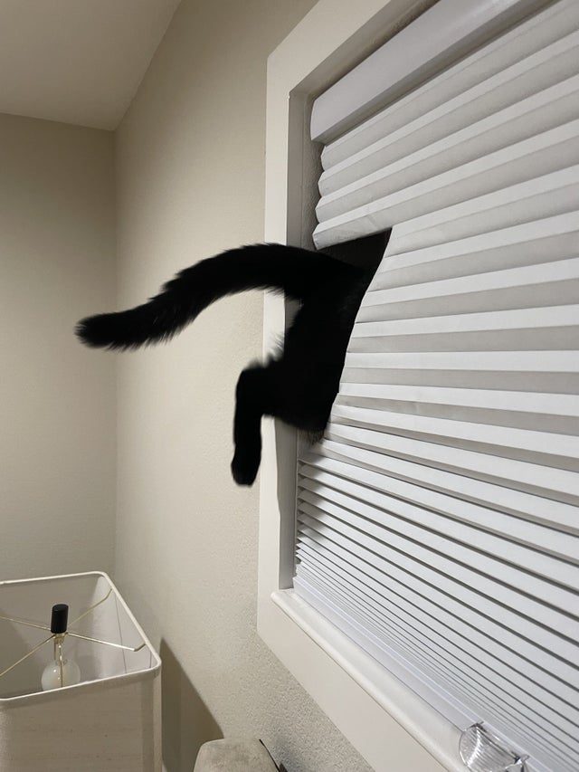 12-14-48-16393961192031604827