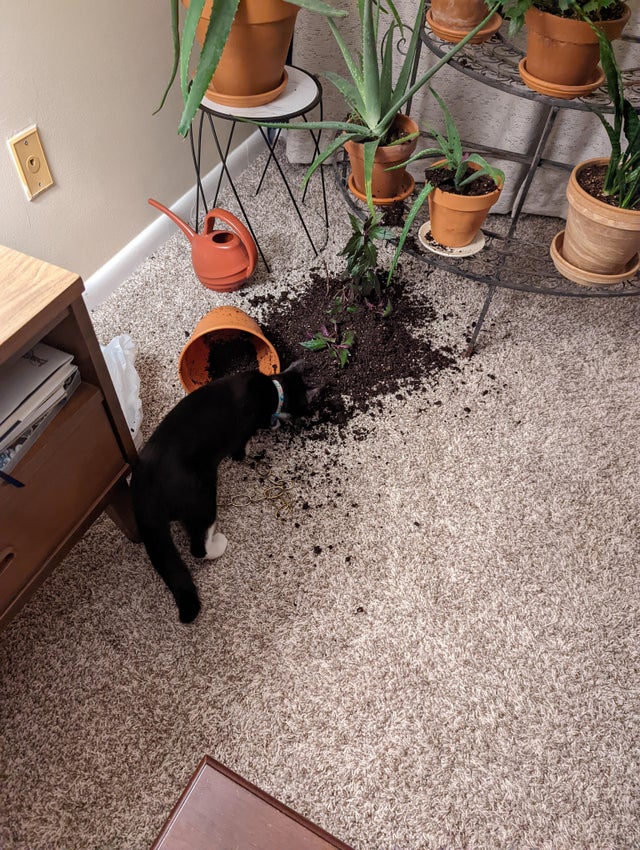 12-14-48-1639396125595435044