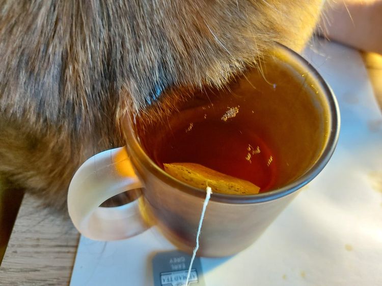 12-14-48-16393961351014704201