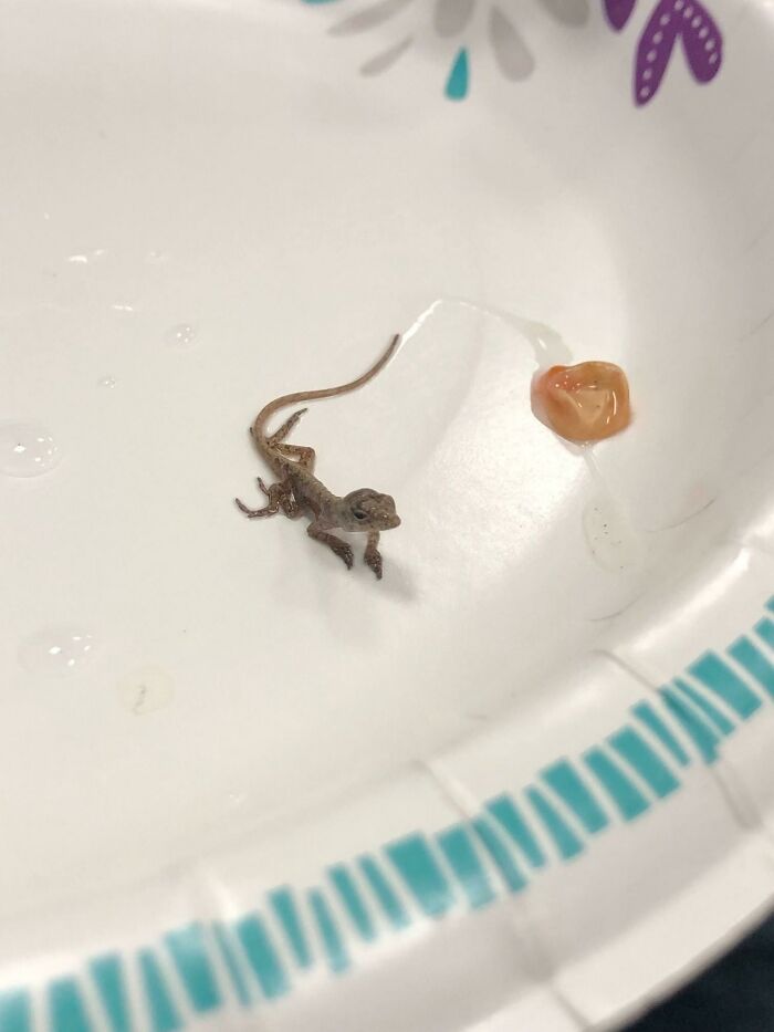 12-15-17-1639657037470857779